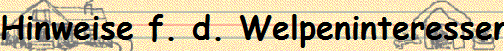 Hinweise f. d. Welpeninteressenten!